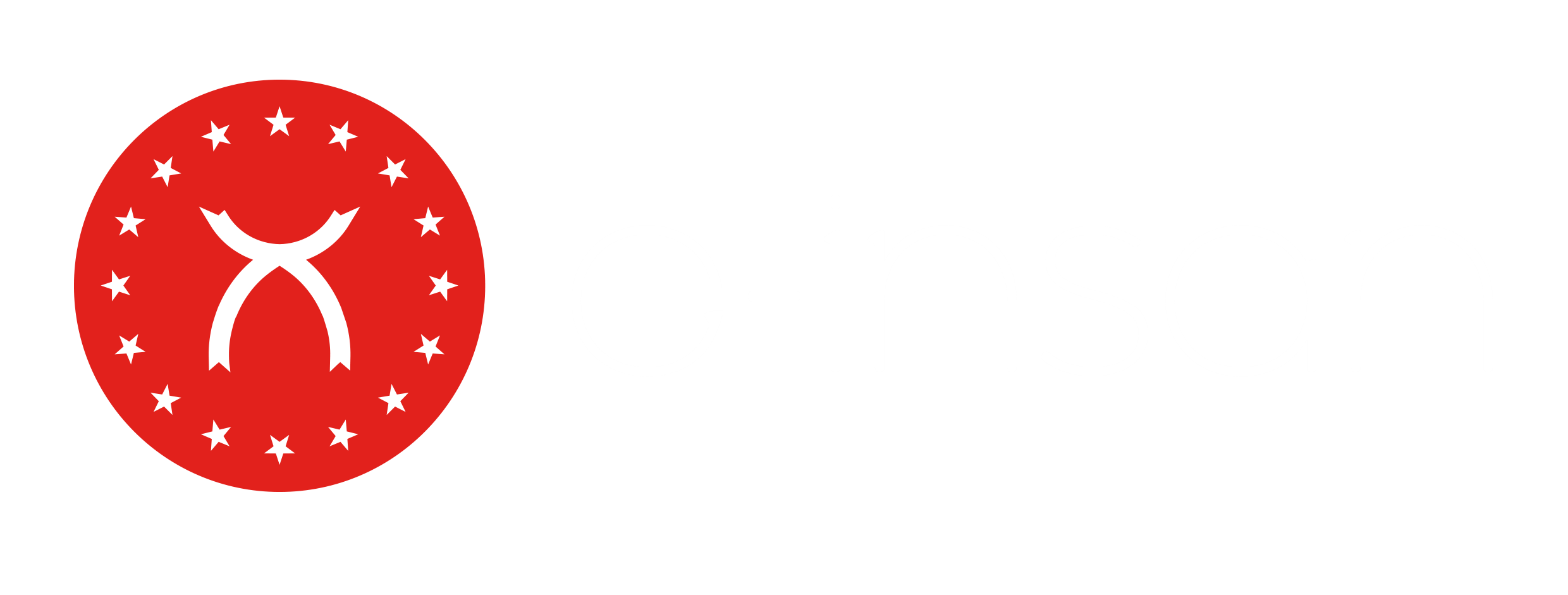 E-İnsan